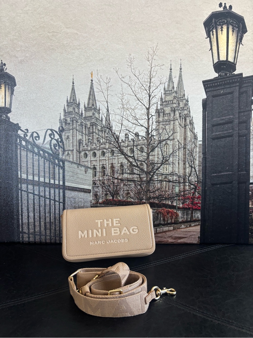 Marc Jacobs Mini Bag in Beige with Gold Hardware